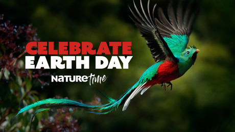 Celebrateearthday Naturetime Keyart 1920X1080