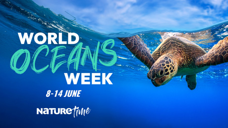 Worldoceansweek Naturetime 1920X1080